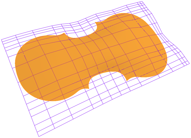 Mesh data scan of a violin surface