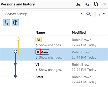 Protected workspace icon on Main branch in Versions and history panel