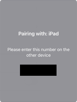 Pairing with iPad screen