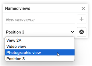 Selecting a named view