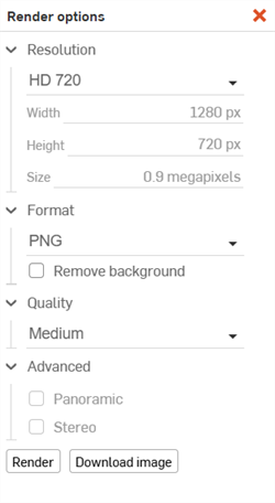Render options dialog