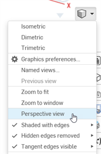 Camera and render options: Perspective view
