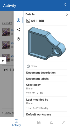Esempio di pannello informativo specifico per il documento