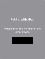 與 iPad 螢幕配對