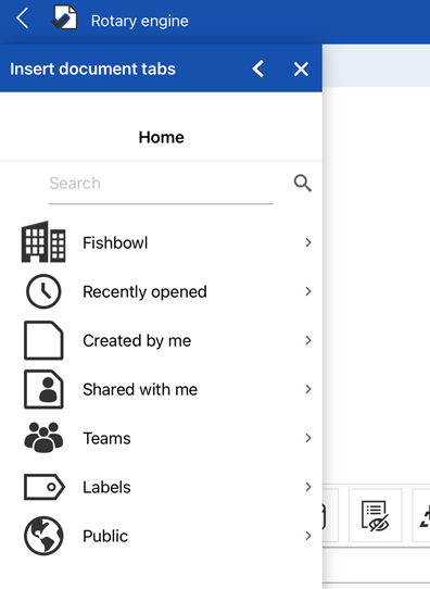 Insert document tabs dialog